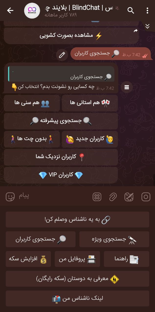 تصویر رابط کاربری بلایند چت